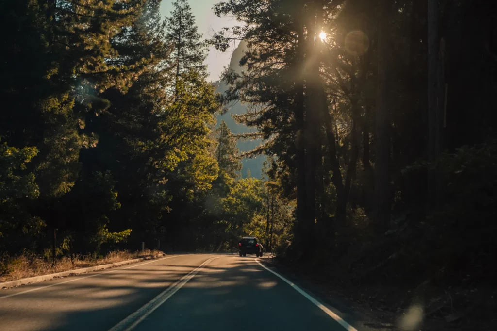 A car journeys through the picturesque forest of Yosemite Valley, California.