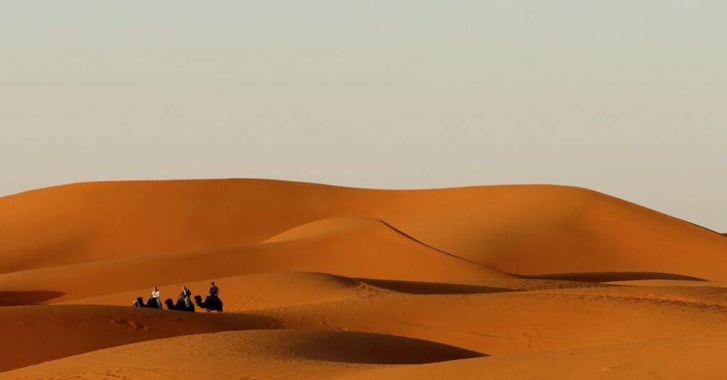 Maroc en couple, 10 jours : Marrakech, Fès, Sahara & Toubkal sans se cramer (ni se perdre à deux) A group of camels and riders traverse the rolling sand dunes of the Moroccan desert under a clear sky.