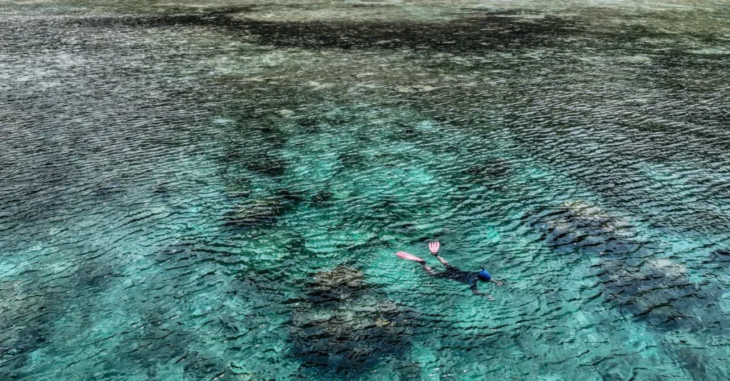 Ang Thong en couple : le day-trip depuis Koh Samui (ou Koh Phangan), concret et sans pièges A snorkeler swims in clear turquoise water over a vibrant coral reef, showcasing marine life.