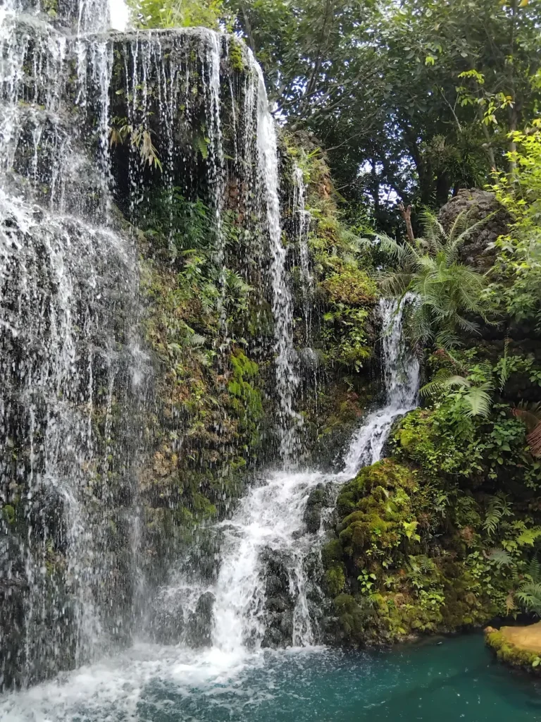 A stunning waterfall cascading through a vibrant green jungle setting.