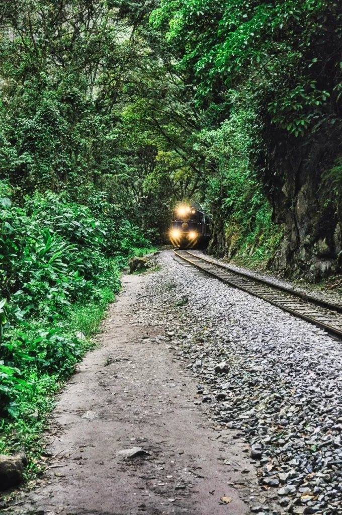 A train approaches on a railway track through vibrant greenery in Aguas Calientes, Peru.