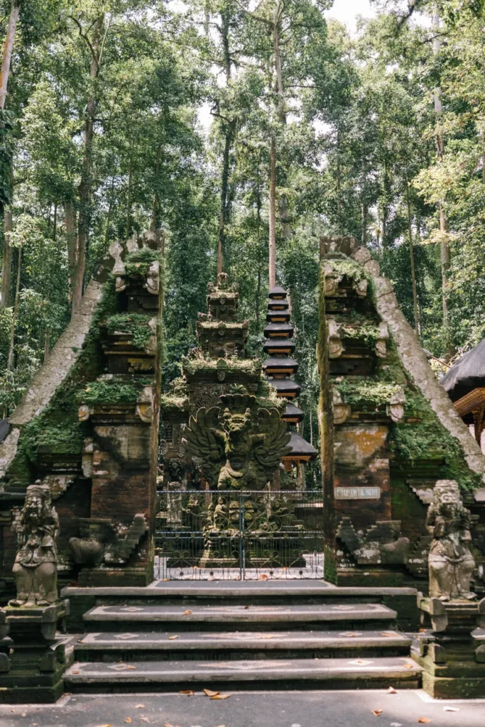 Captivating view of an ancient temple gate surrounded by lush greenery in Sangeh Monkey Forest, Bali.