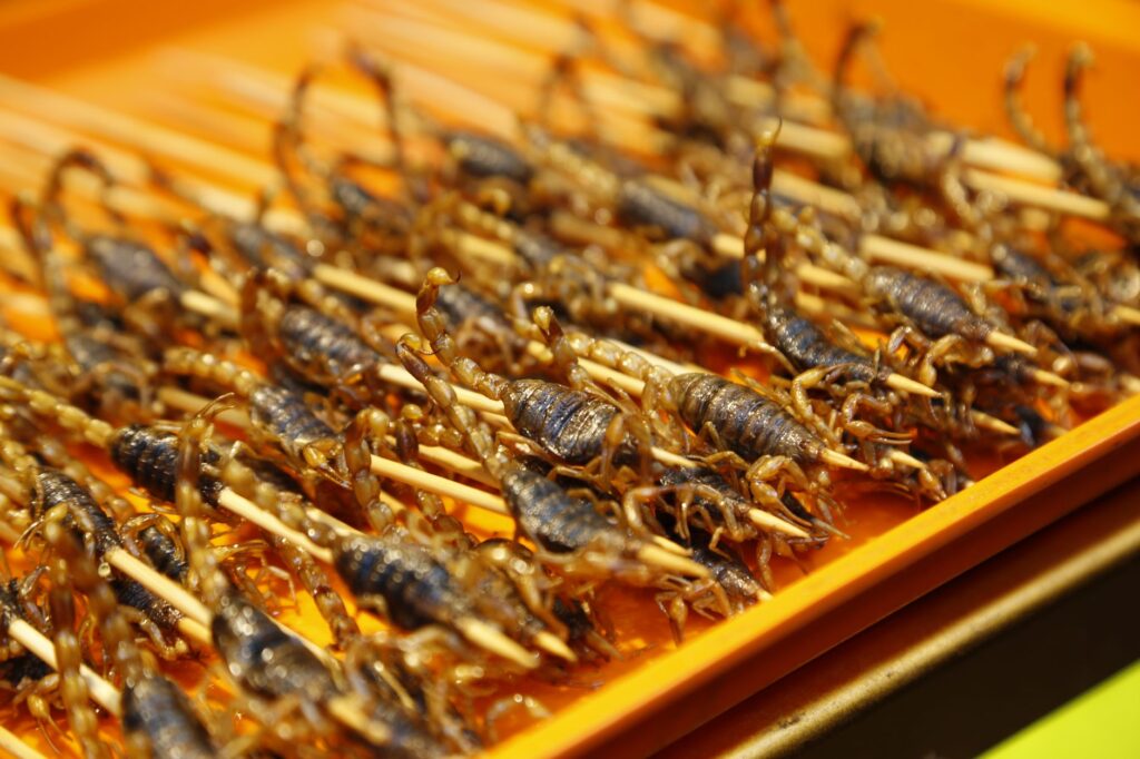Close-up of exotic fried scorpions on skewers, a popular street food in Shanghai, China.