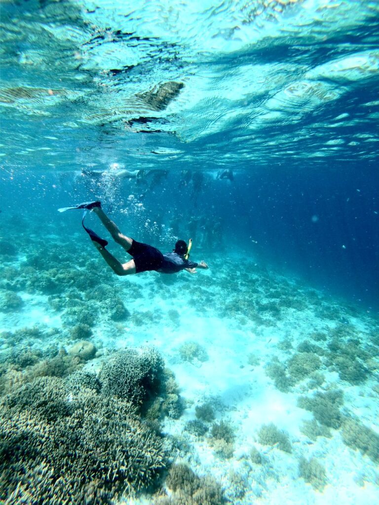 Diver exploring vibrant coral reefs in West Nusa Tenggara, Indonesia.