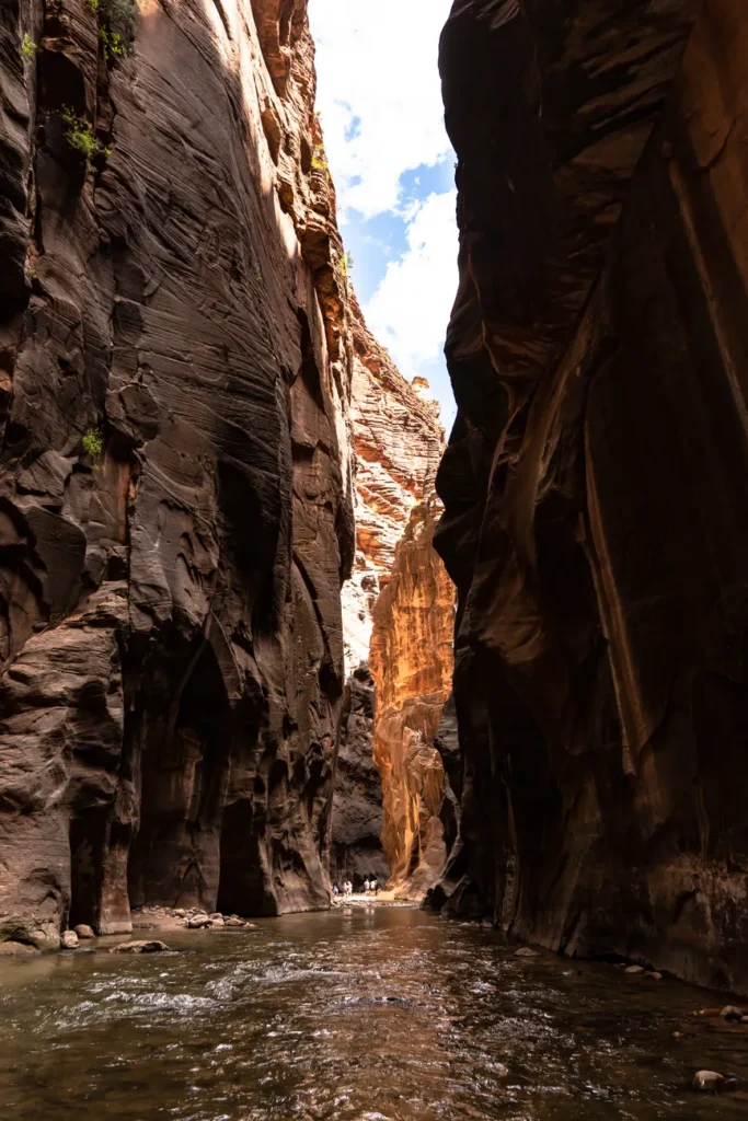 Explore the breathtaking beauty of a narrow canyon in Zion National Park with flowing river and towering cliffs.