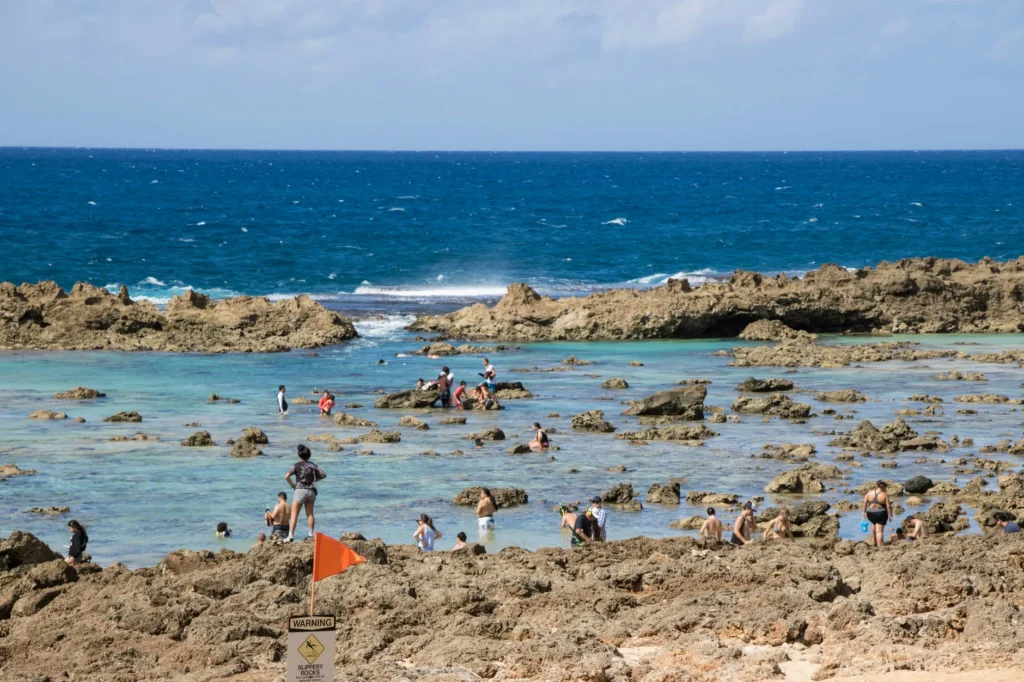 People enjoying a sunny day exploring natural tide pools along a rocky coastline.