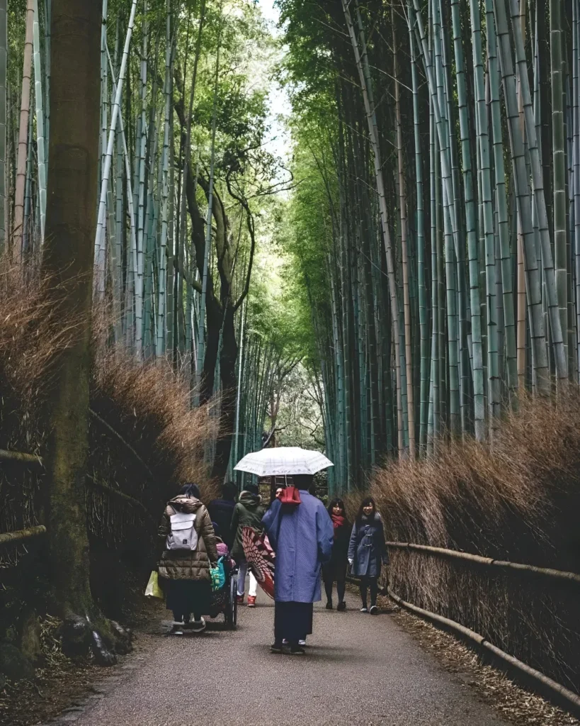 People stroll through the lush bamboo forest of Arashiyama, a famous scenic spot in Kyoto, Japan.