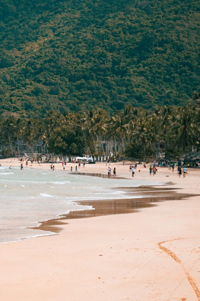 Serene El Nido beach with lush palms and tourists enjoying a sunny day.