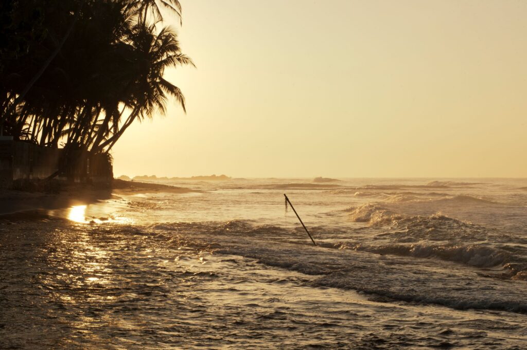 Serene golden sunset over waves at Unawatuna Beach with silhouetted palm trees.