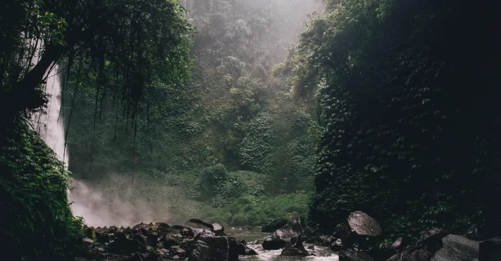 Munduk à Bali en couple : cascades, rizières et plan anti-pluie (sans se perdre) Serene jungle scene in Bali with a stunning waterfall and vibrant greenery.