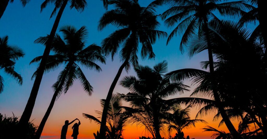 Aruba à deux : plages, parcs et couchers de soleil… le plan anti-galère Silhouetted couple dancing under palm trees at tropical beach sunset, capturing romance and idyllic scenery.