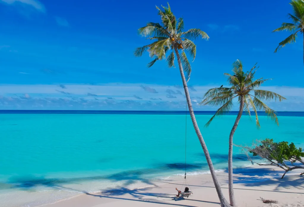 Stunning tropical beach scene on Fulidhoo, Maldives, with swaying palm trees and clear blue water.