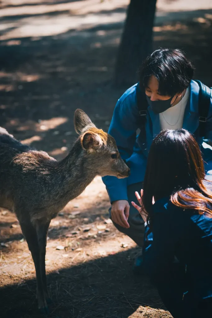 Tourists interact with a friendly deer in Nara Park, Japan, showcasing wildlife and cultural harmony.