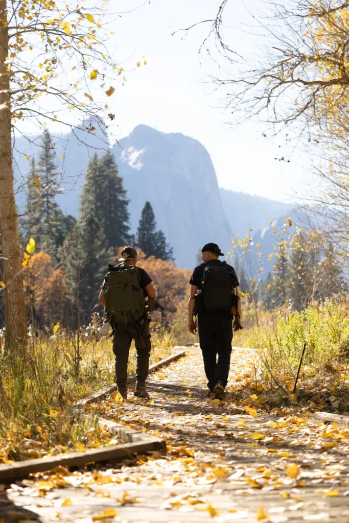 Two hikers walking on a trail in Yosemite National Park during fall. Vibrant autumn foliage surrounds them.