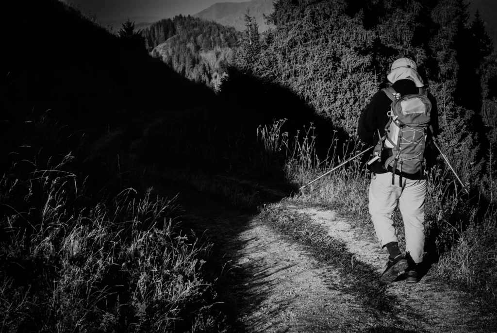 A backpacker walking along a forest trail at twilight, exploring the mountain scenery.