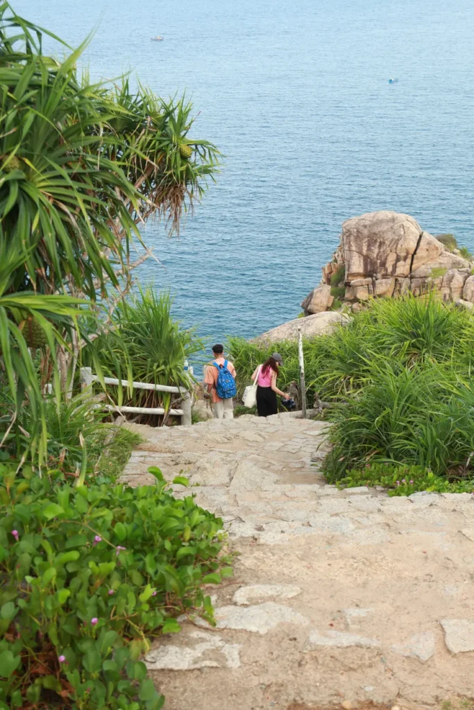 A couple strolls down a lush tropical path leading to a serene ocean view.