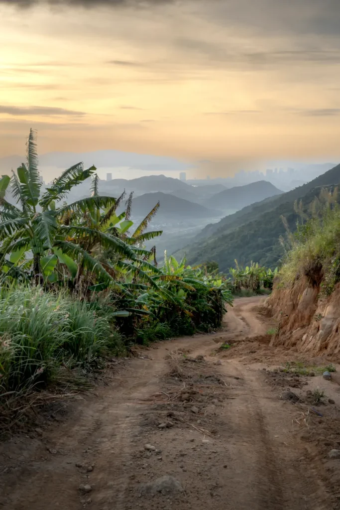 A dirt road winds through green hills with banana trees, captured at sunset with mountains in the distance.