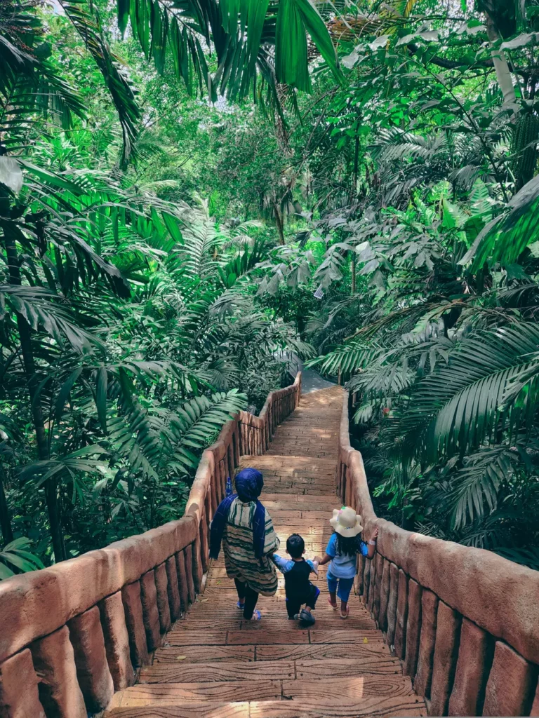 A family strolls down a wooden staircase surrounded by lush greenery in a Malaysian jungle.