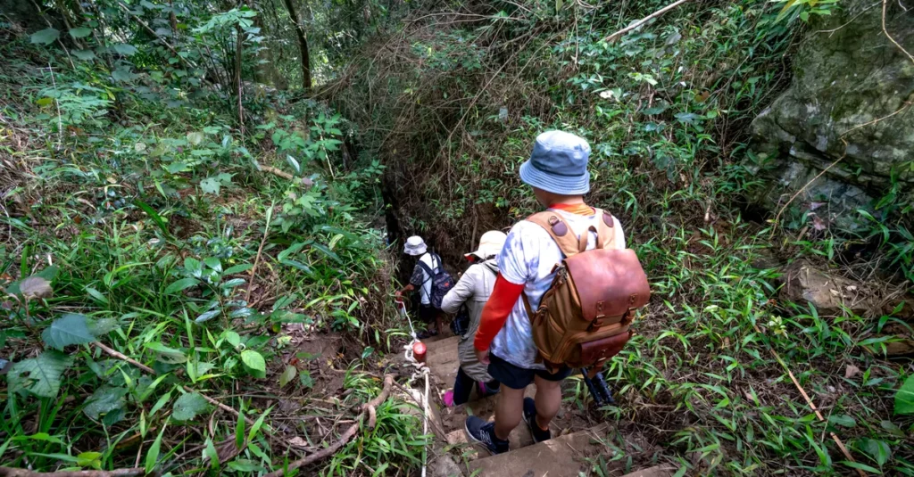 Ciudad Perdida (Cité Perdue) à deux : le trek jungle qui tient la route (sans faire n’importe quoi) A group of tourists hiking through dense, tropical forest, descending stone steps.