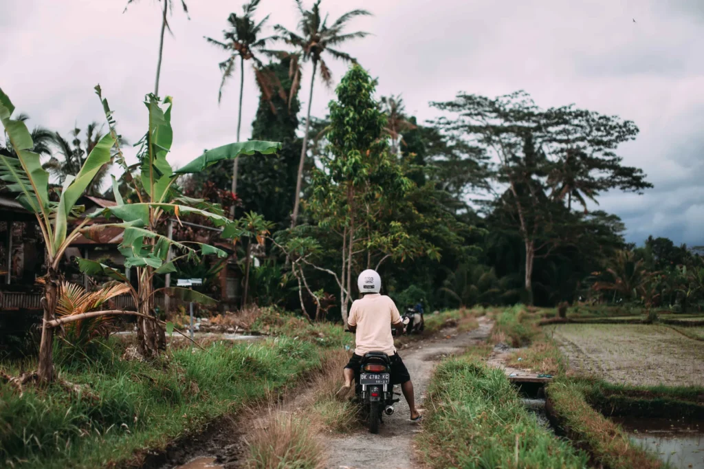 A person riding a scooter through a lush tropical landscape with palm trees.