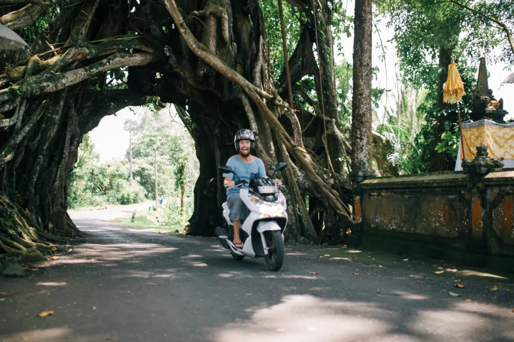 A rider on a scooter passing through a natural banyan tree tunnel in Bali, Indonesia.
