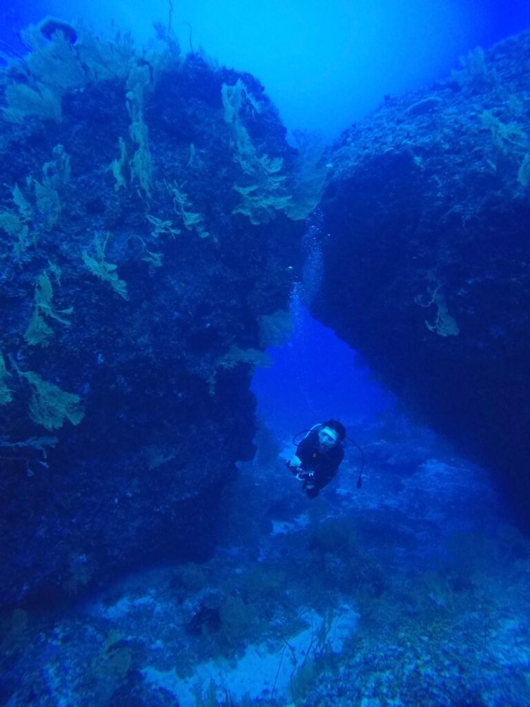 A scuba diver navigates through a stunning underwater coral reef canyon, showcasing the deep blue ocean.