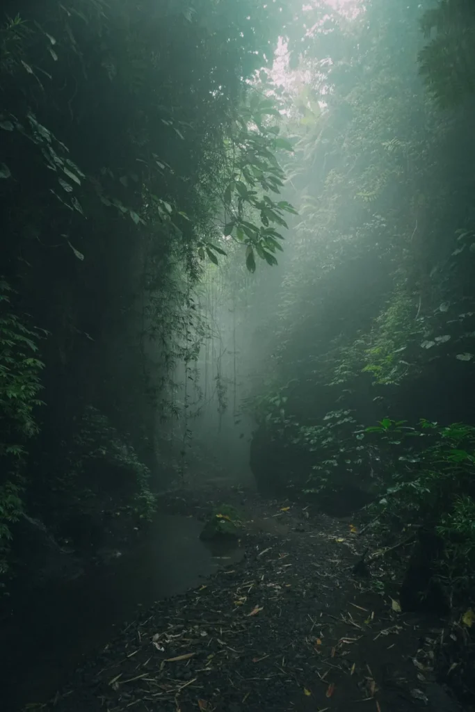 A serene misty jungle path in Bali captures the essence of untouched nature.