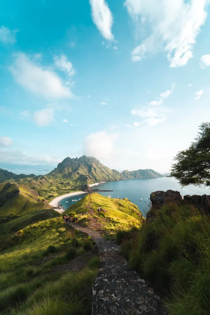 A stunning view of Padar Island with lush greenery and coastal landscapes under a bright sky.