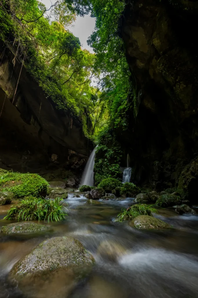 A tranquil waterfall cascading through a verdant canyon, surrounded by lush greenery and flowing stream.