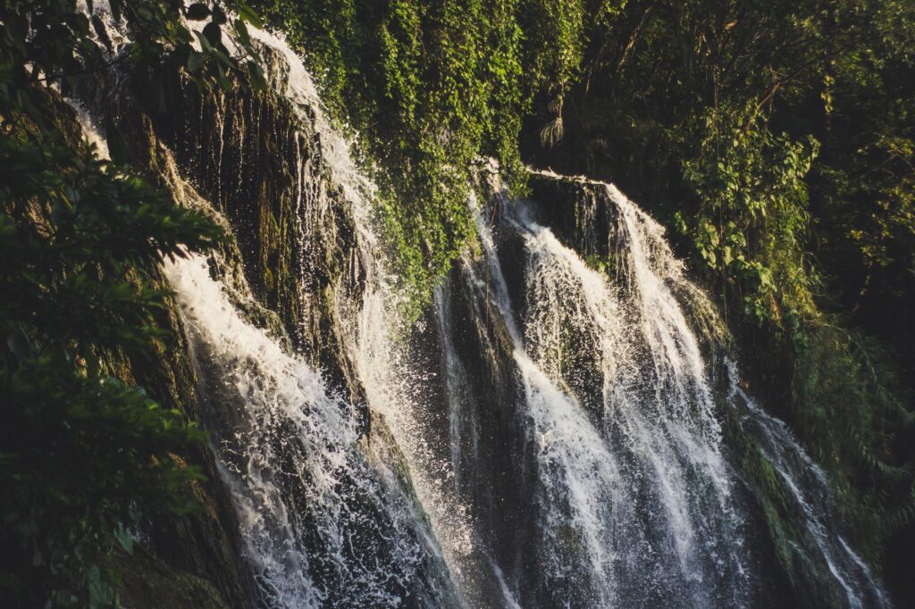 A tranquil waterfall flows down a rock face surrounded by lush green plants, creating a peaceful nature scene.