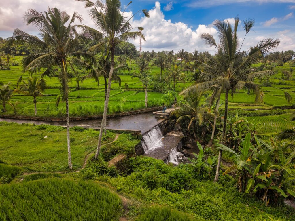 Beautiful Bali rice terraces with palm trees and a small waterfall under a bright sky.
