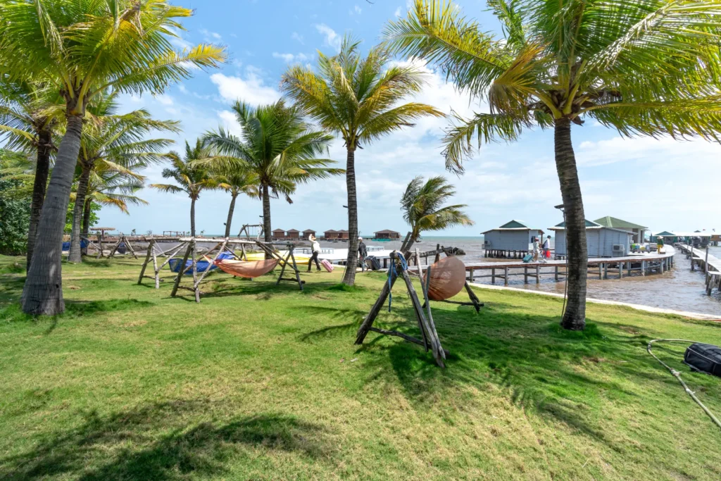 Beautiful tropical resort setting with hammocks and palm trees by a wooden boardwalk over the water.
