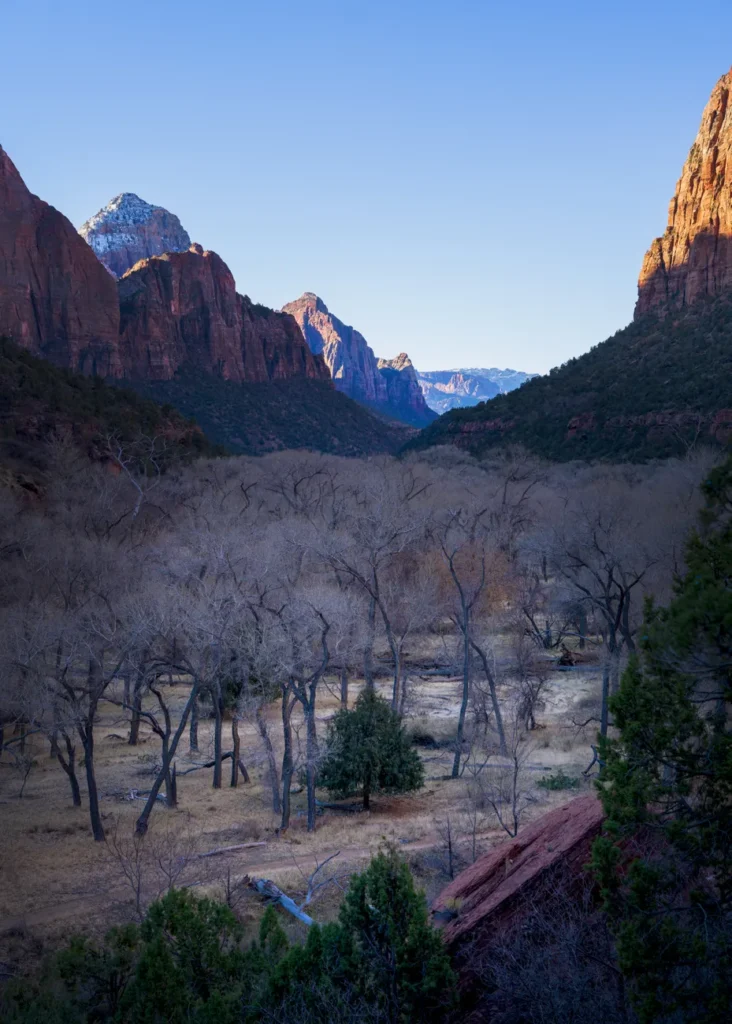 Breathtaking view of Zion National Park's canyon at dusk.