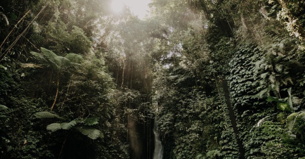 Nungnung Waterfall en couple : le guide concret pour une escapade “trempette & romantisme” près d’Ubud Discover the serene beauty of a Bali rainforest waterfall, surrounded by lush greenery.