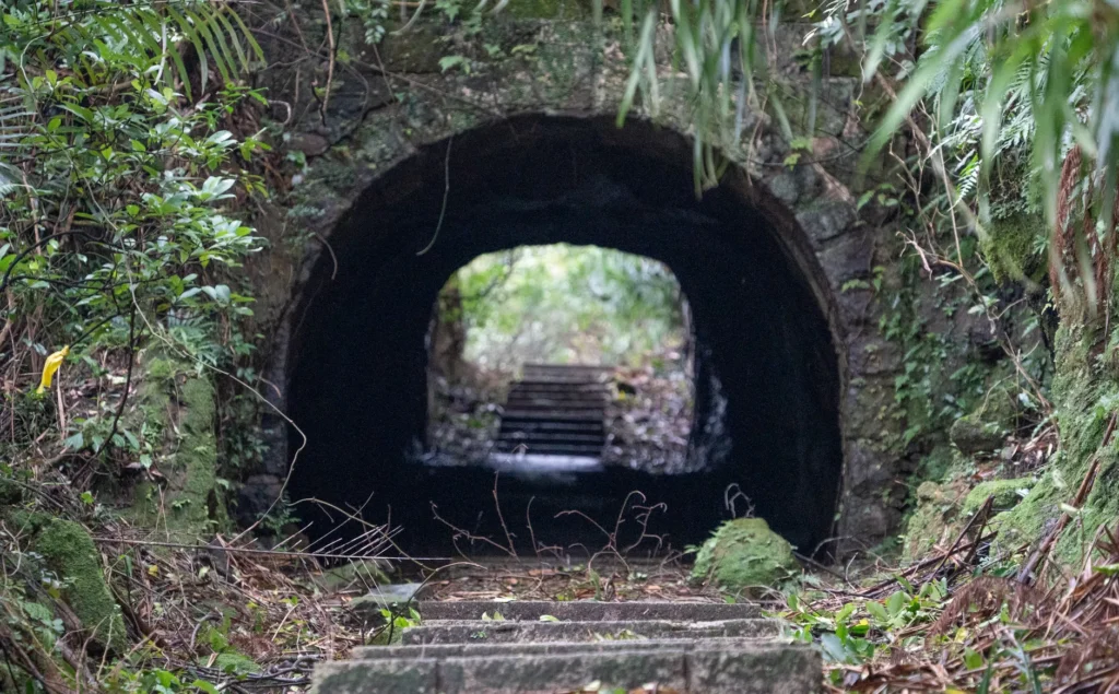 Explore a hidden tunnel deep within the lush greenery of New Taipei City, Taiwan.