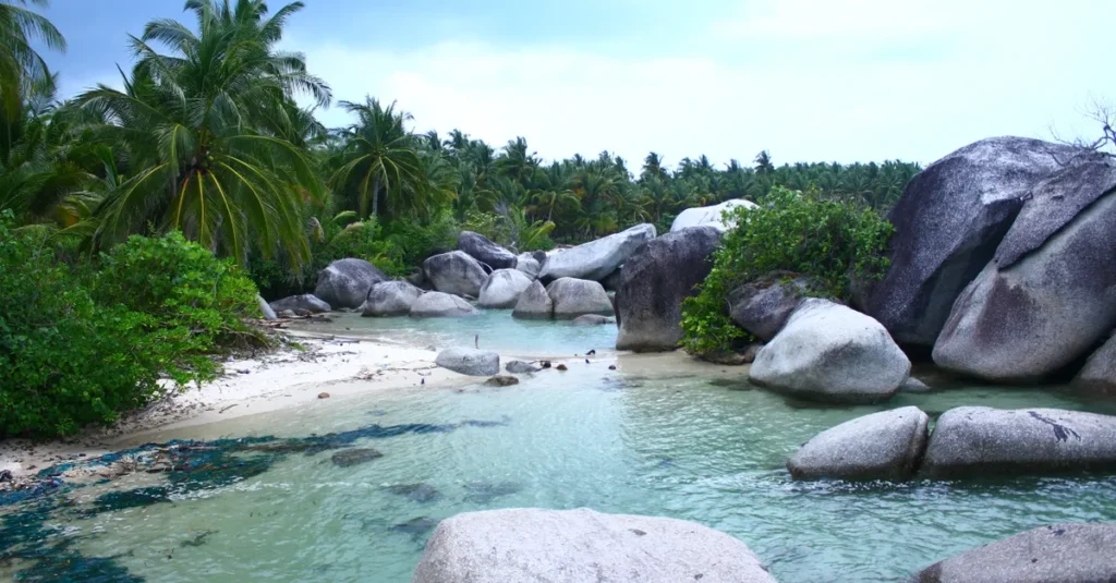 Batu Baginda en couple : une randonnée courte mais vraiment mémorable à Belitung (sans se faire surprendre) Explore the serene beaches of Bangka Belitung, Indonesia, with lush palm trees and granite boulders.