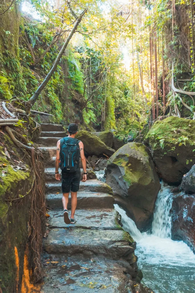 Explore the vibrant green tropical forest of Bali with cascading waterfalls and rocky paths.