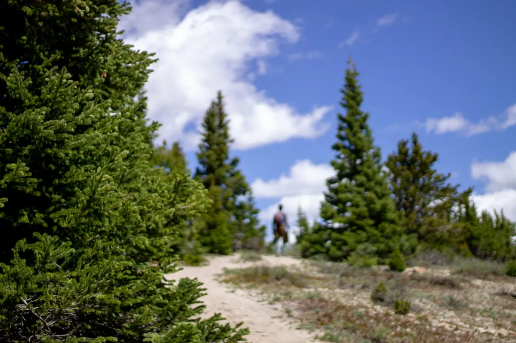 Hiker on a scenic trail surrounded by conifer trees in Breckenridge, Colorado.