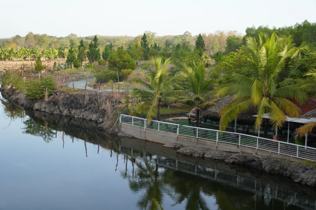 Lush green plants and palm trees lining a tranquil river on a sunny day.
