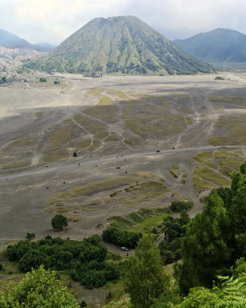 Panoramic view of Mount Bromo surrounded by lush greenery and rolling landscape in East Java, Indonesia.