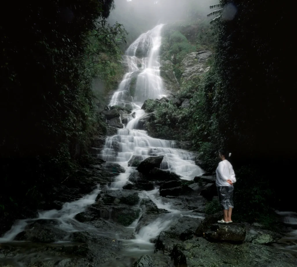 Peaceful waterfall in a misty rainforest setting with a solitary observer nearby.
