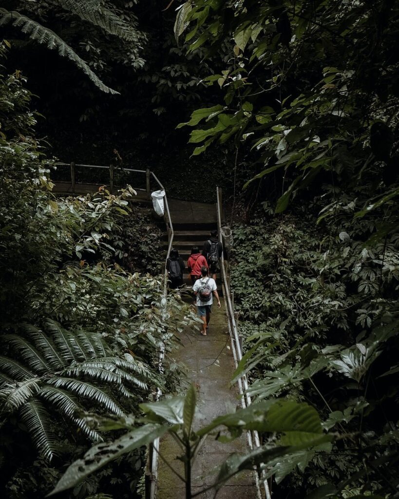 People walking on a lush forest path in Bangli, Bali, Indonesia.