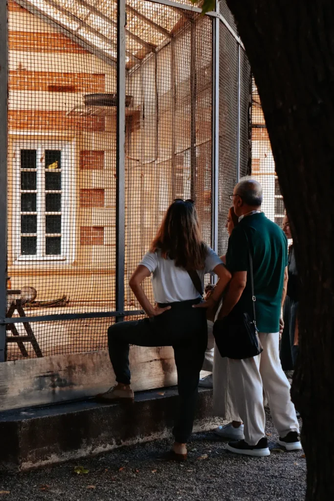 People watching animals in a zoo enclosure during daytime outdoors.