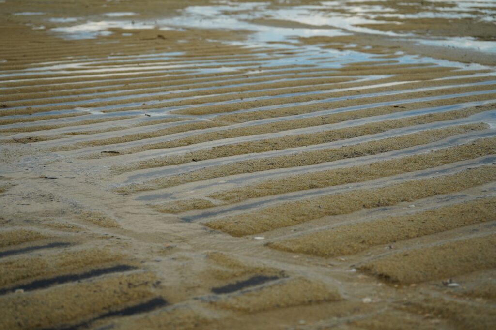 Rippled sand surface with shallow water at low tide in Mārahau, Tasman, New Zealand.