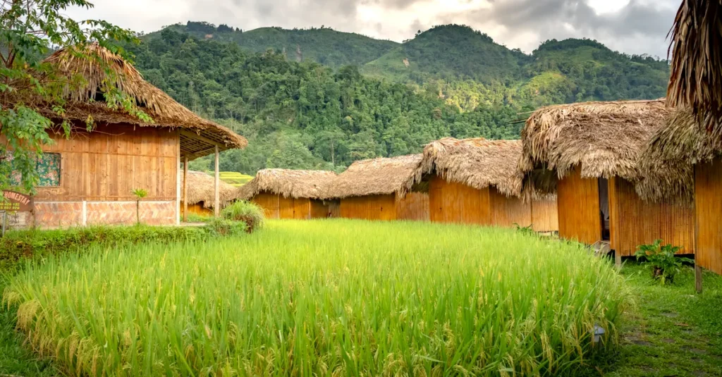 Wae Rebo à deux : le plan concret pour monter au village conique sans se cramer (Flores, Indonésie) Rustic wooden huts with thatched roofs in a lush green valley under a cloudy sky.