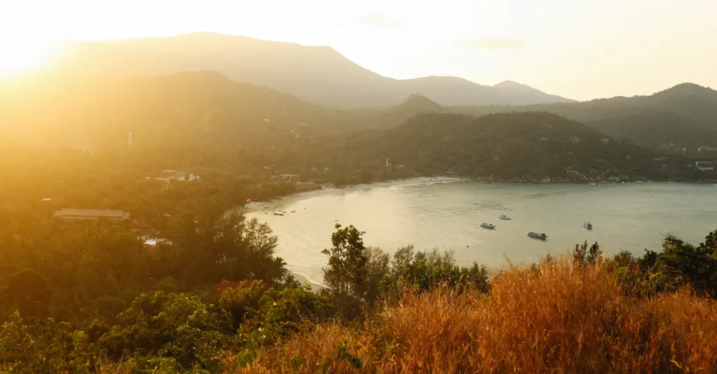 Scenic view of a sunlit cove with lush greenery and distant mountains near the ocean.