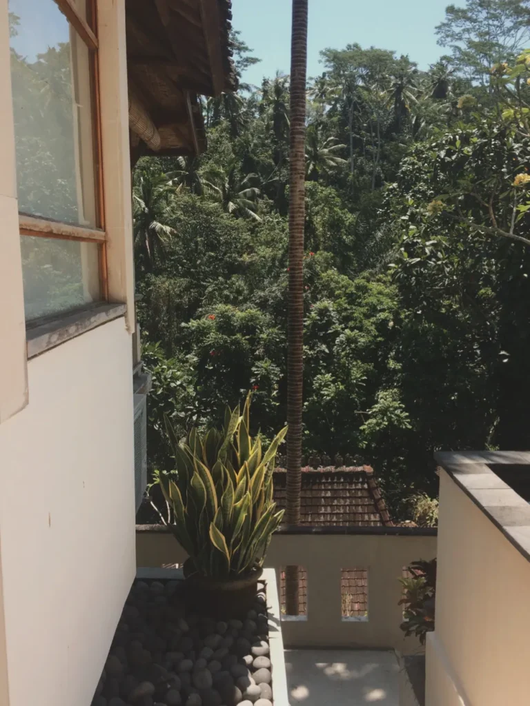 Serene sunlit view from balcony showcasing lush greenery in Bali, highlighting tranquility.