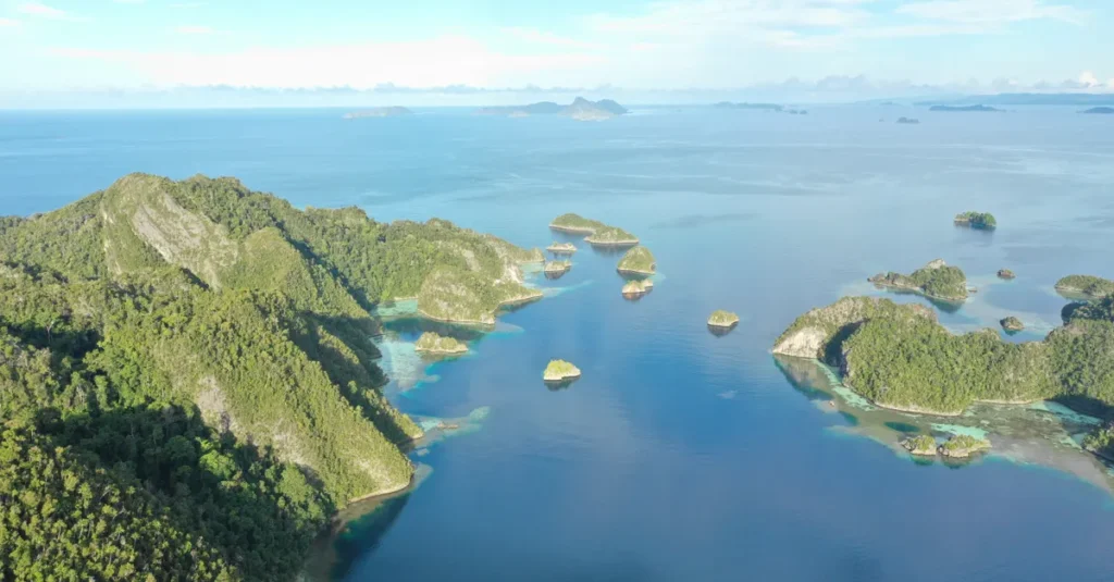 Survol des Rock Islands à Palau en couple : le plan concret (et les pièges à éviter) Stunning aerial view of Raja Ampat's lush green islands and turquoise waters in West Papua, Indonesia.