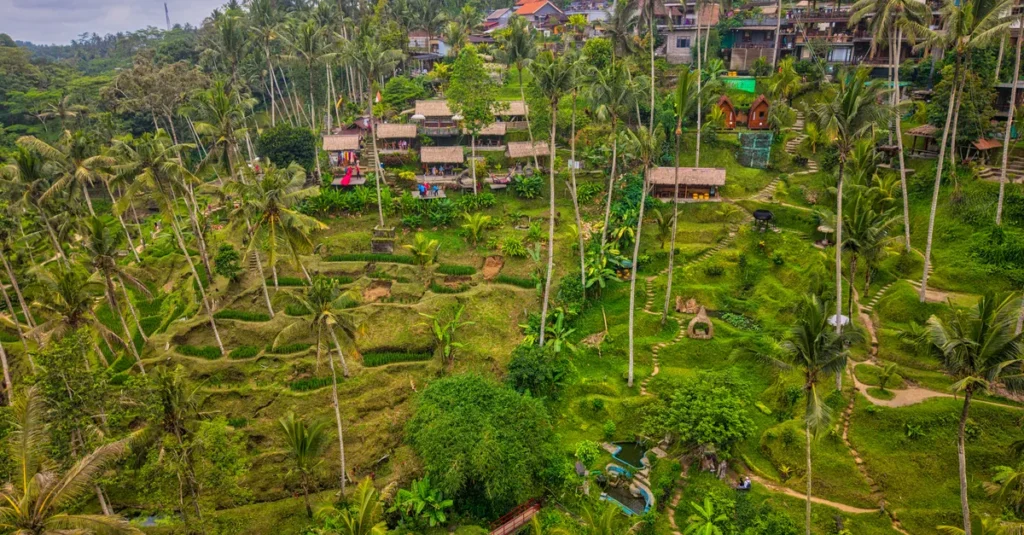 Layana Waterfall & Warung à Ubud (Bali) : le guide concret pour une cascade facile, sans piège Stunning aerial view of Tegallalang Rice Terraces in Ubud, Bali, showcasing lush greenery and traditional huts.