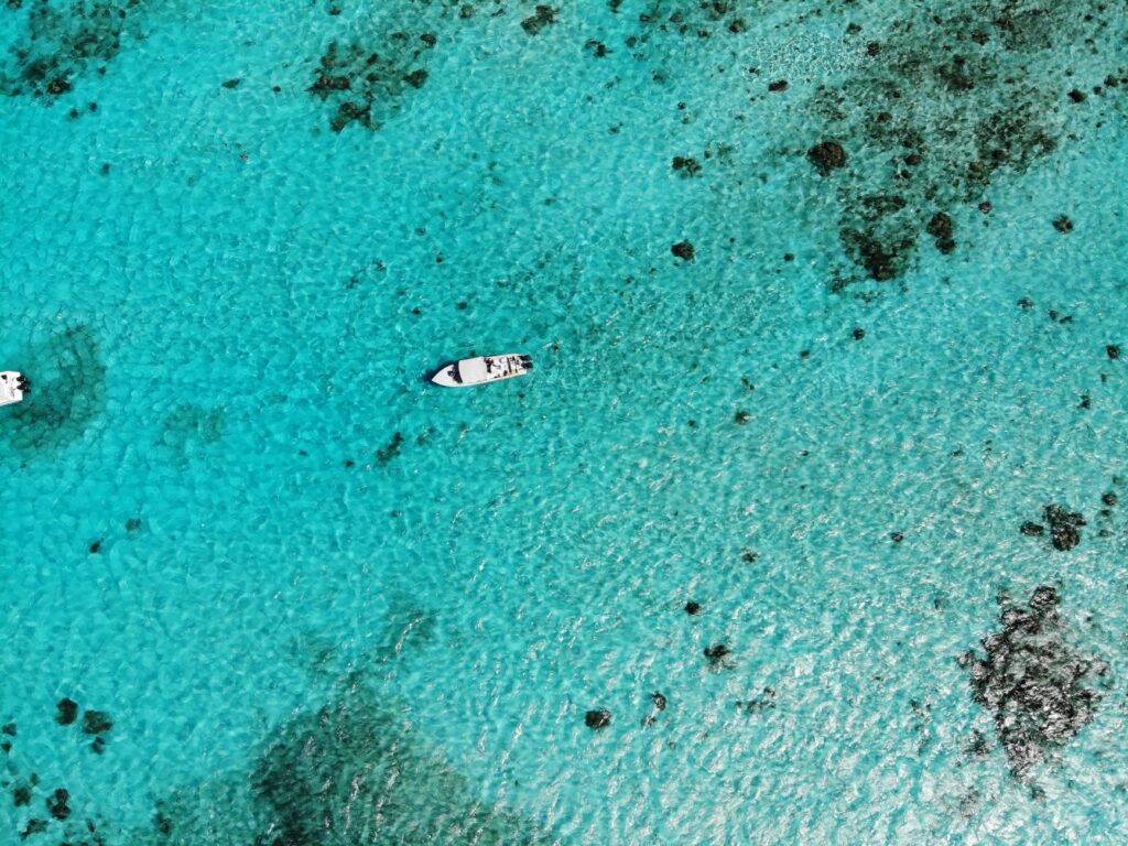 Stunning aerial view of white boats on the clear, turquoise waters of Belize, showcasing marine life.